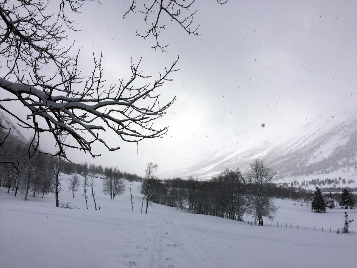 Overvoll Farm Stranda  Eksteriør billede