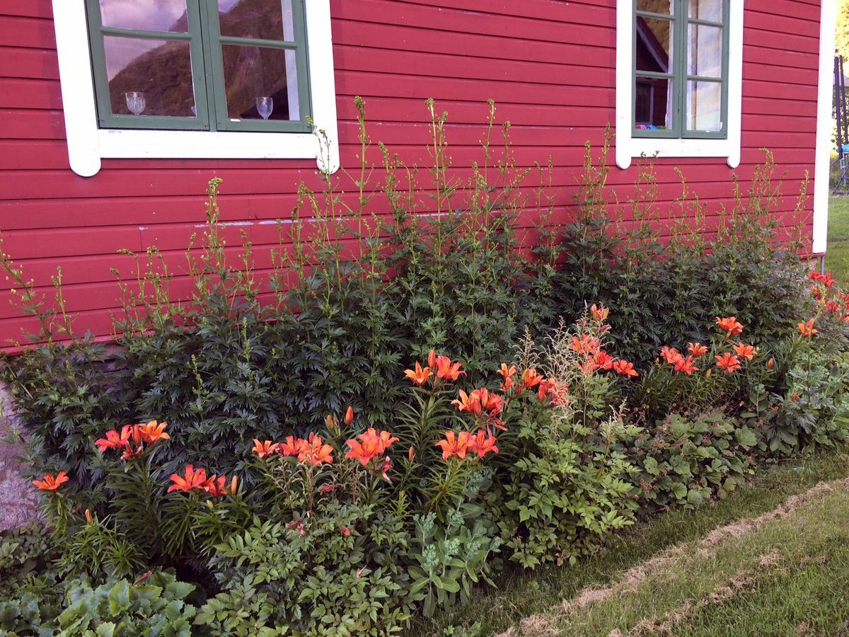 Overvoll Farm Stranda  Eksteriør billede
